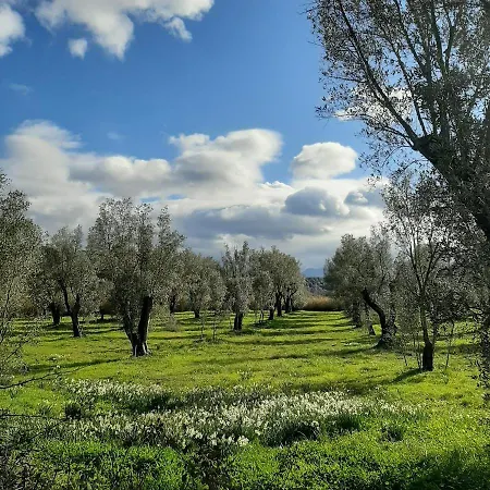 Tenuta Le Tre Querce 3* Seminara