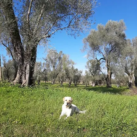 Tenuta Le Tre Querce 게스트하우스