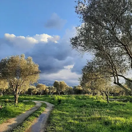 Tenuta Le Tre Querce Affittacamere