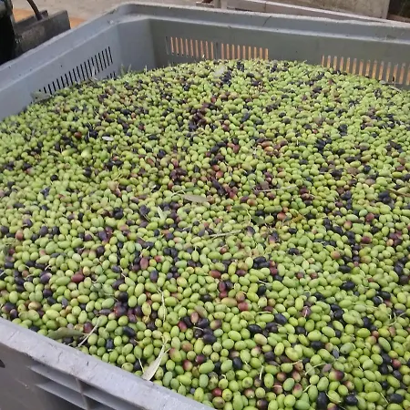 Tenuta Le Tre Querce 3*