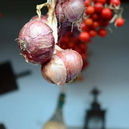 Tenuta Le Tre Querce Maison d'hôtes 3*