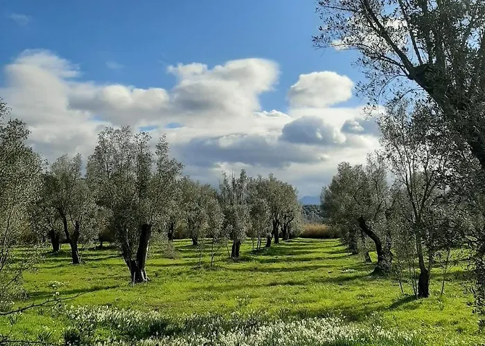 Tenuta Le Tre Querce 3* Seminara