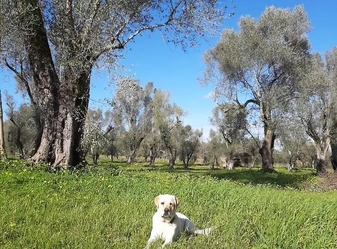 Tenuta Le Tre Querce בית הארחה