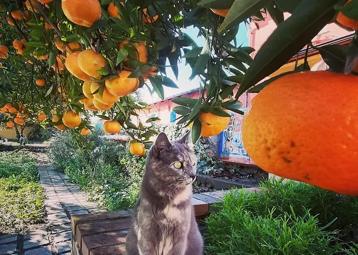 Tenuta Le Tre Querce 3*