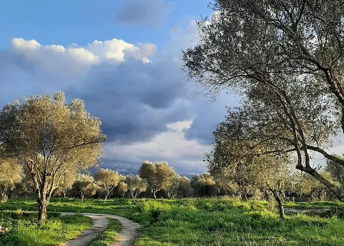 Tenuta Le Tre Querce בית הארחה