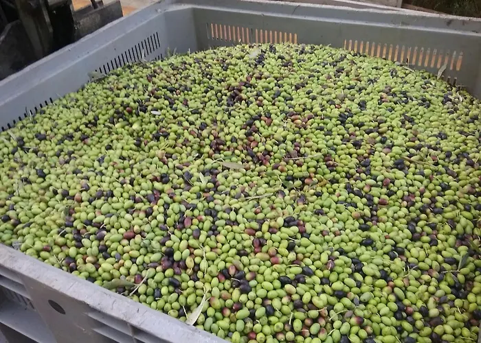 Tenuta Le Tre Querce 3*