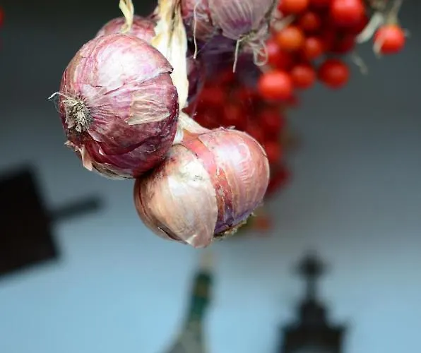 Tenuta Le Tre Querce Casa de hóspedes 3*